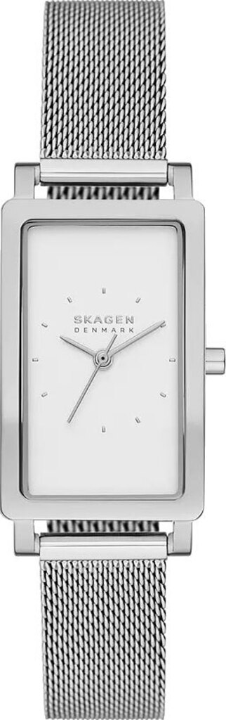 

Часы SKAGEN SKW3096, SKW3096